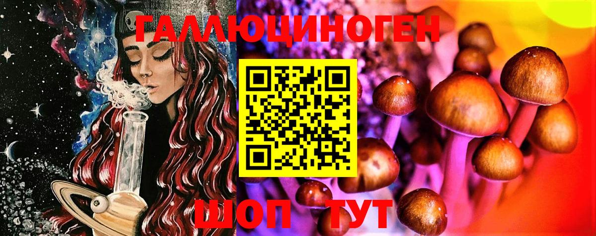 Галлюциногенные грибы Magic Shrooms  Галлюциногенные грибы Psilocybe  Вход с VPN  Большой Камень 