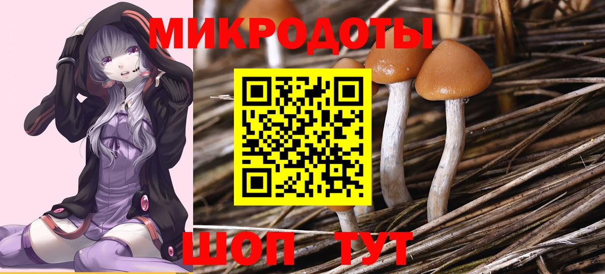 Псилоцибиновые грибы Psilocybe Большой Камень